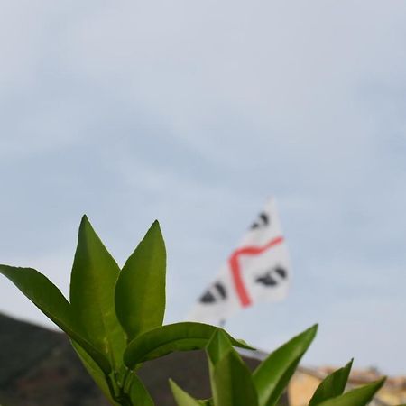 לינה וארוחת בוקר מוראברה Sa Mariposa מראה חיצוני תמונה